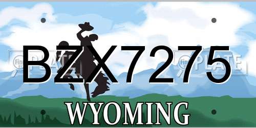 BZX7275 Wyoming License Plate