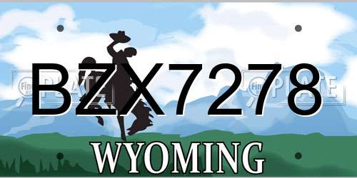 BZX7278 Wyoming License Plate