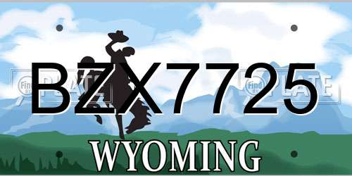 BZX7725 Wyoming License Plate
