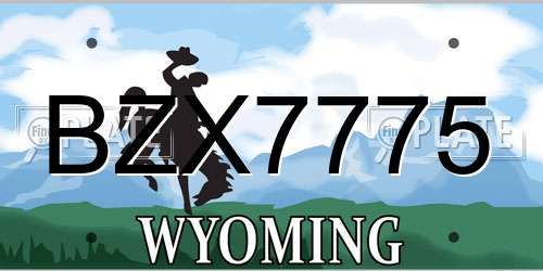 BZX7775 Wyoming License Plate