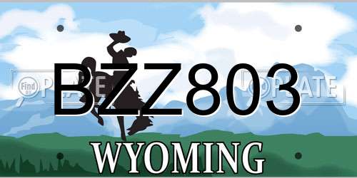BZZ803 Wyoming License Plate
