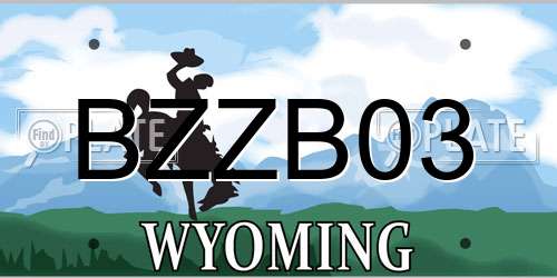BZZB03 Wyoming License Plate