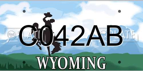 C042AB Wyoming License Plate