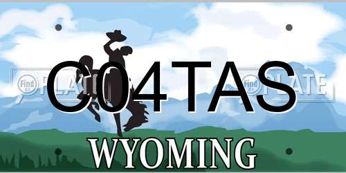 C04TAS Wyoming License Plate