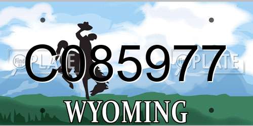 C085977 Wyoming License Plate