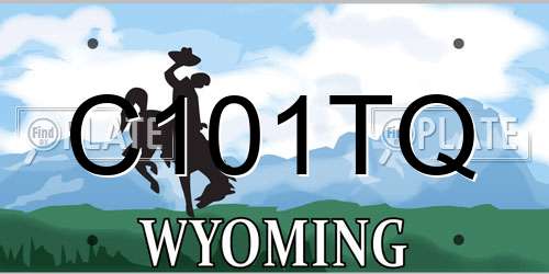 C101TQ Wyoming License Plate