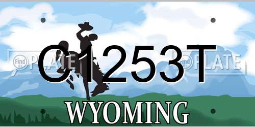 C1253T Wyoming License Plate