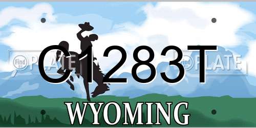 C1283T Wyoming License Plate