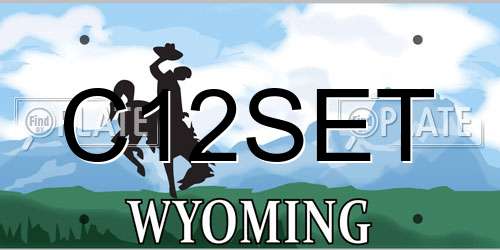 C12SET Wyoming License Plate