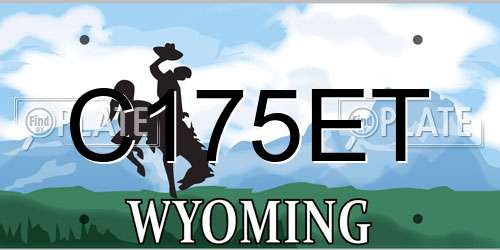 C175ET Wyoming License Plate