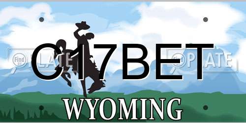 C17BET Wyoming License Plate