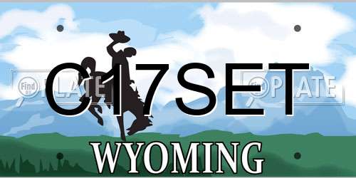 C17SET Wyoming License Plate