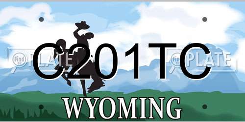 C201TC Wyoming License Plate