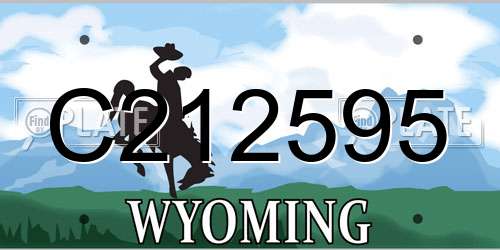 C212595 Wyoming License Plate