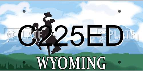C225ED Wyoming License Plate