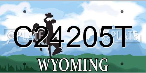 C24205T Wyoming License Plate