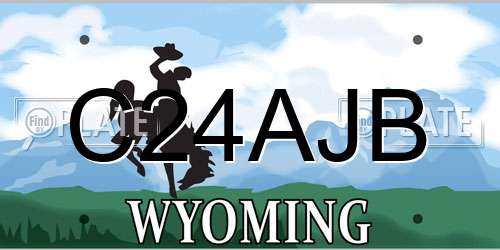 C24AJB Wyoming License Plate