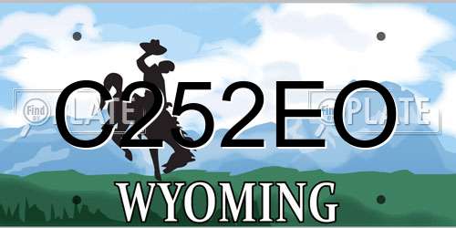 C252EO Wyoming License Plate