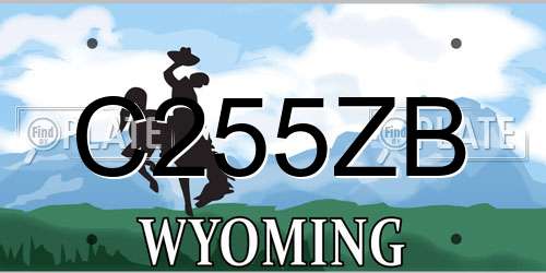 C255ZB Wyoming License Plate