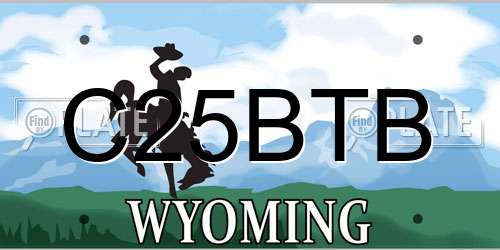 C25BTB Wyoming License Plate