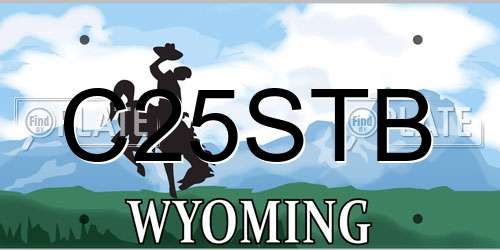 C25STB Wyoming License Plate