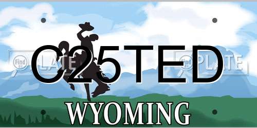 C25TED Wyoming License Plate