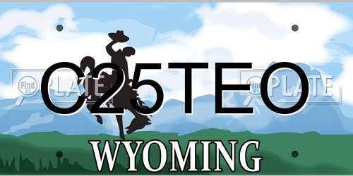 C25TEO Wyoming License Plate
