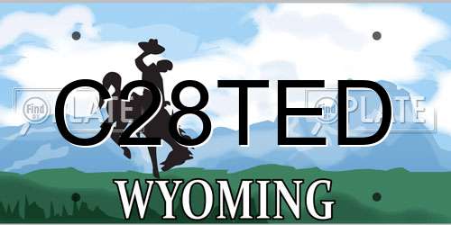 C28TED Wyoming License Plate