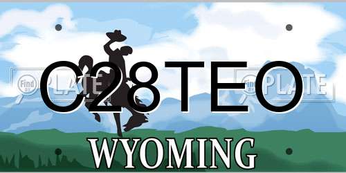 C28TEO Wyoming License Plate