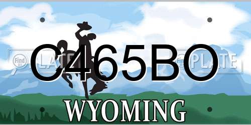 C465BO Wyoming License Plate