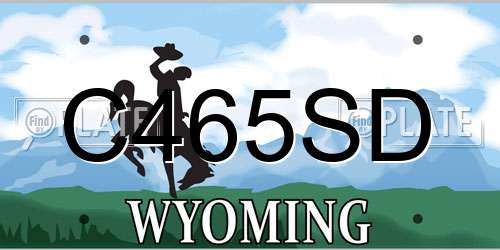 C465SD Wyoming License Plate