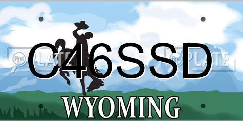 C46SSD Wyoming License Plate