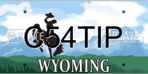 C54TIP Wyoming License Plate