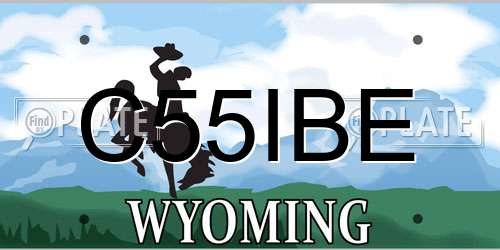 C55IBE Wyoming License Plate