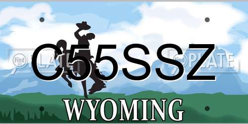 C55SSZ Wyoming License Plate