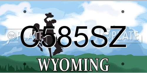 C585SZ Wyoming License Plate