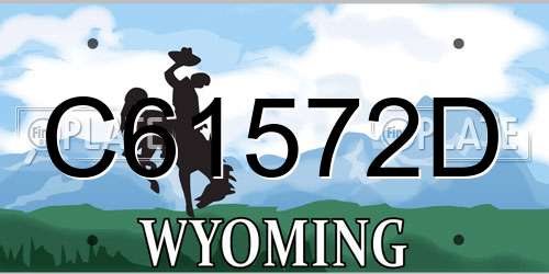 C61572D Wyoming License Plate