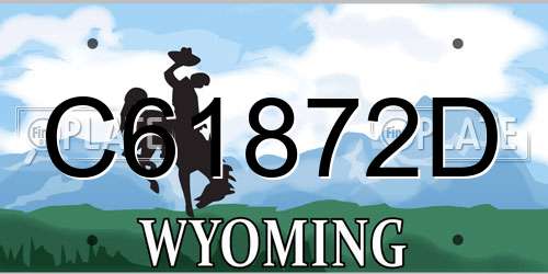C61872D Wyoming License Plate