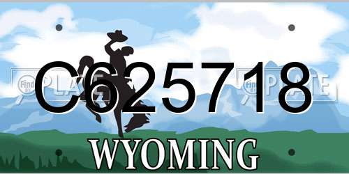 C625718 Wyoming License Plate