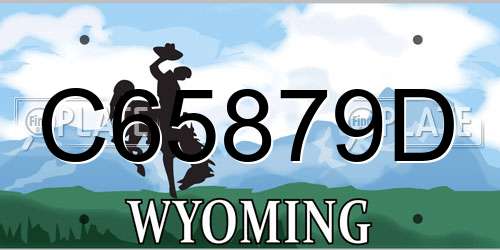 C65879D Wyoming License Plate