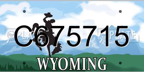 C675715 Wyoming License Plate