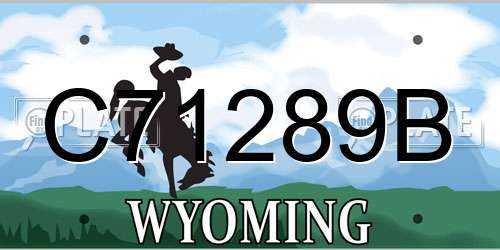 C71289B Wyoming License Plate