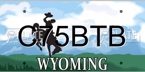 C75BTB Wyoming License Plate