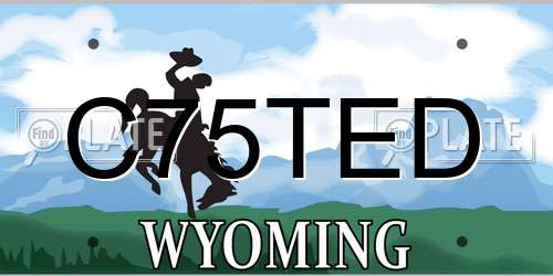 C75TED Wyoming License Plate