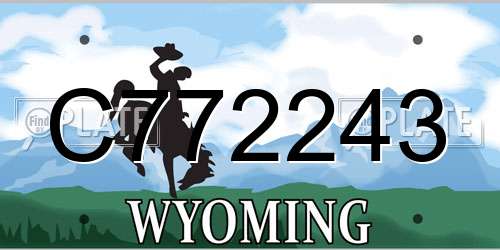 C772243 Wyoming License Plate
