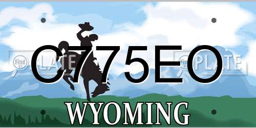 C775EO Wyoming License Plate