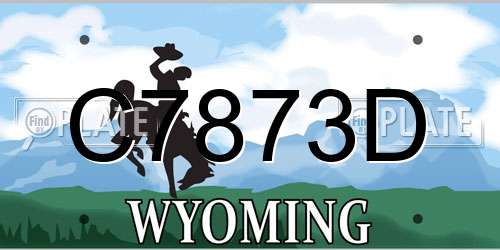 C7873D Wyoming License Plate