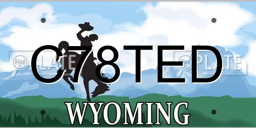 C78TED Wyoming License Plate