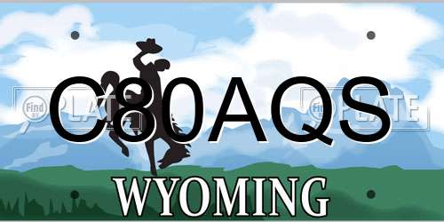 C80AQS Wyoming License Plate