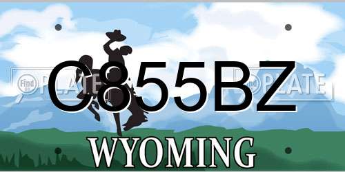 C855BZ Wyoming License Plate
